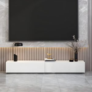Contemporary TV Stand with 2 Drawers and Wood Material for Modern Home Entertainment