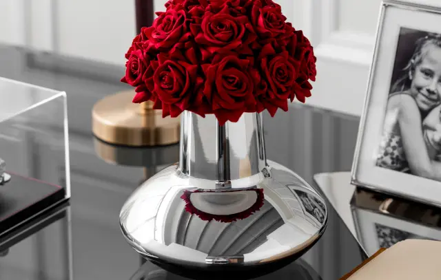 Stainless Steel 1 Home